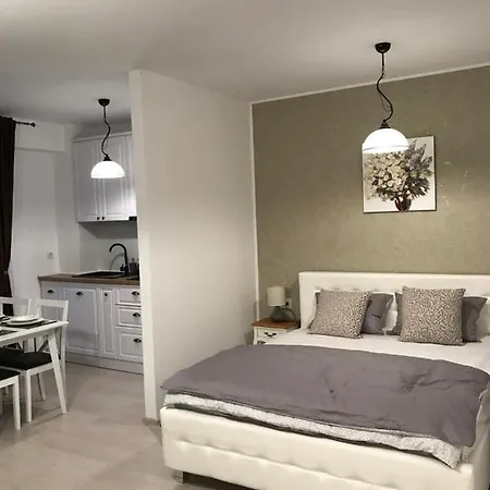 White Season Apartment Brasov